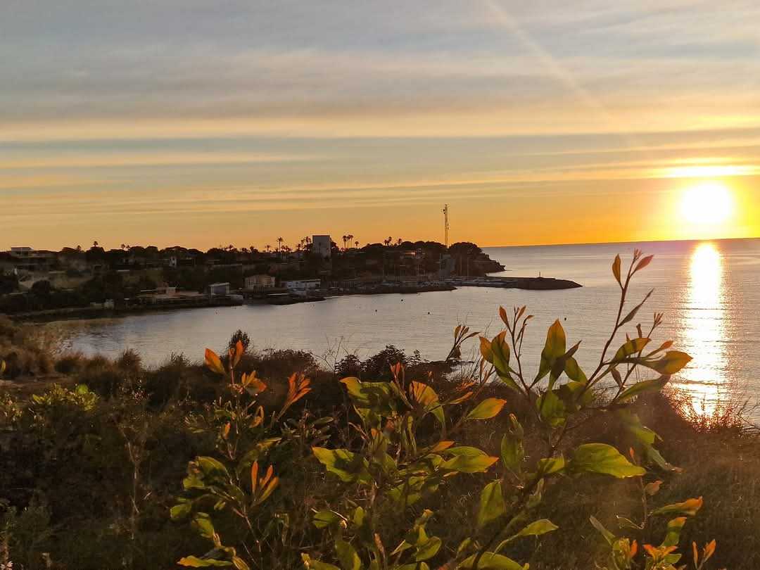 Pronóstico del tiempo para el lunes 10 de febrero de 2025 en Torrevieja, Orihuela Costa y Pilar de la Horadada