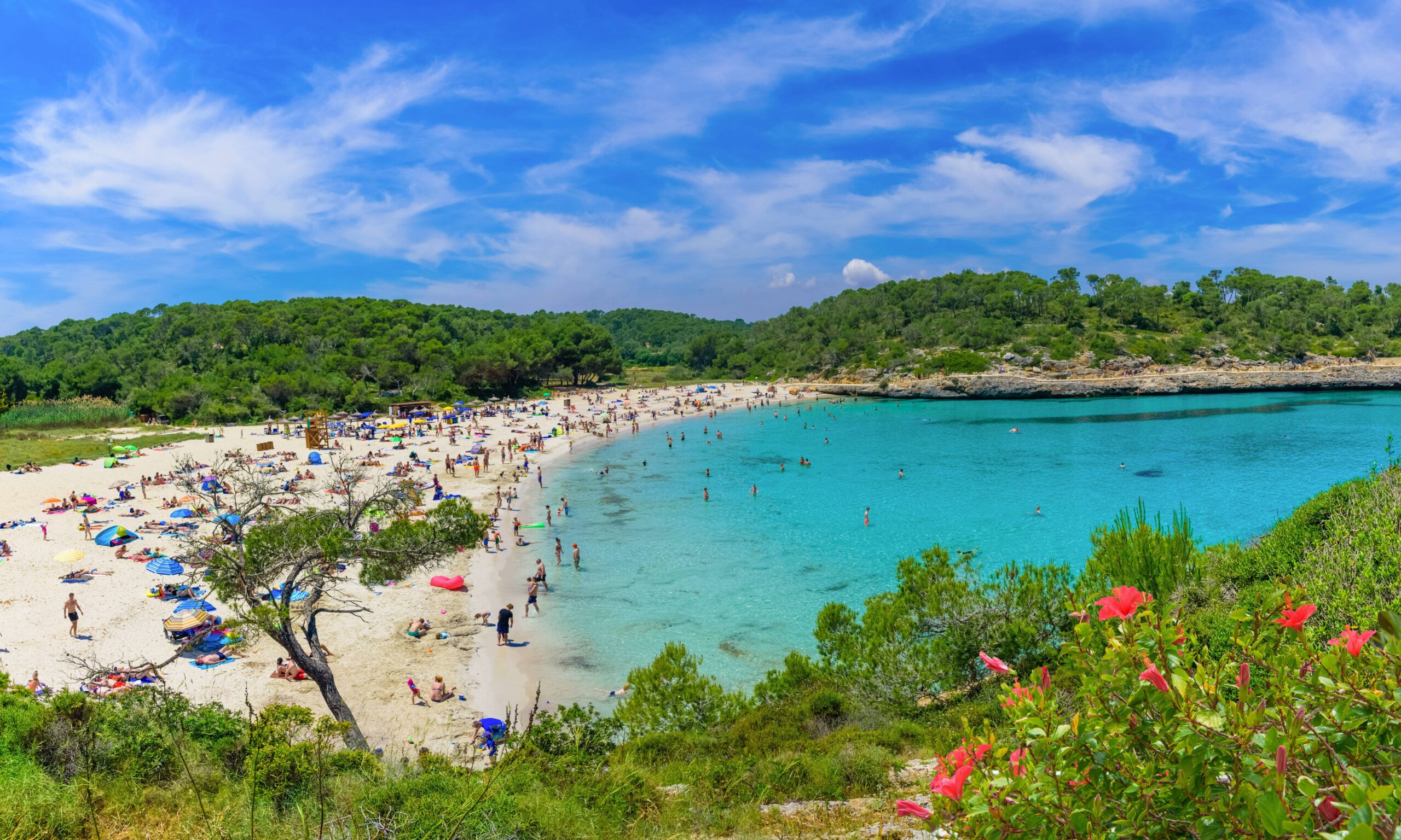 Debe visitar: Las cinco mejores playas de Mallorca para 2025