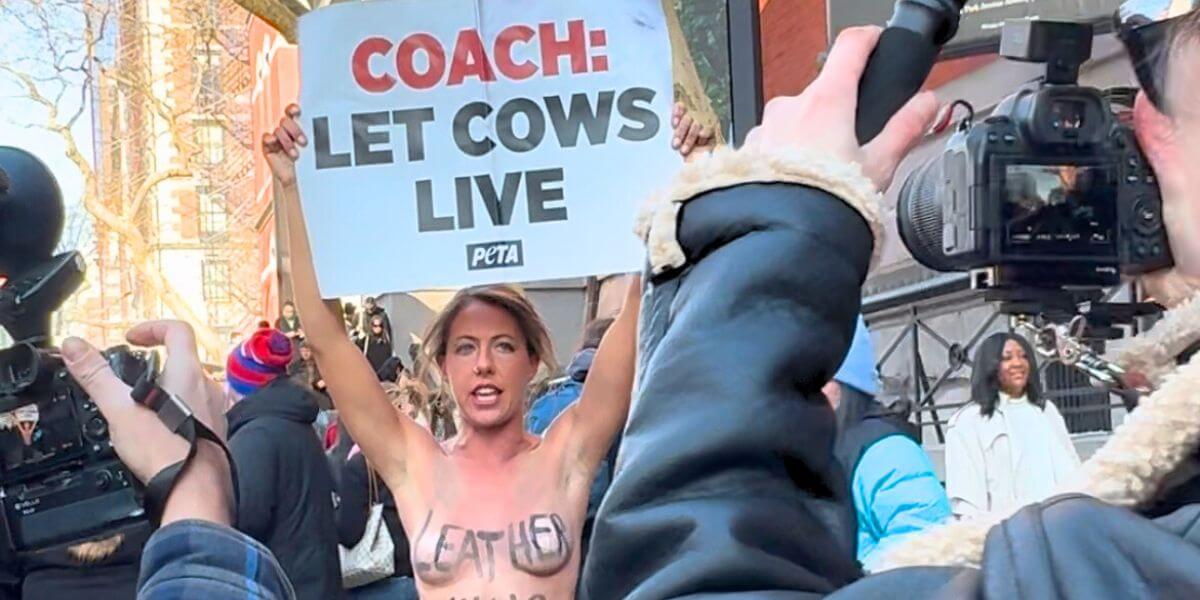 El gran paso de Faux en la Semana de la Moda de Nueva York 2025