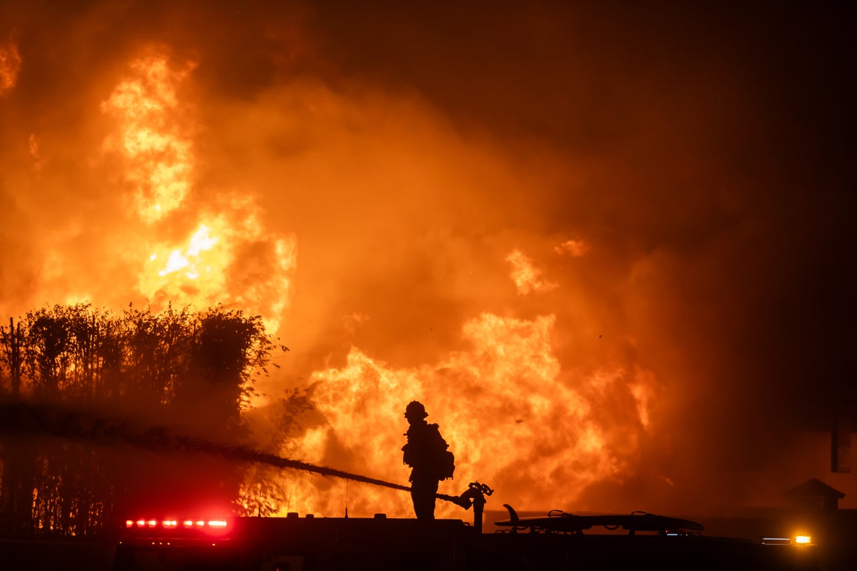 Los disparos de Trump y las congelaciones de fondos dejan a los estados occidentales luchando para prepararse para la temporada de incendios forestales