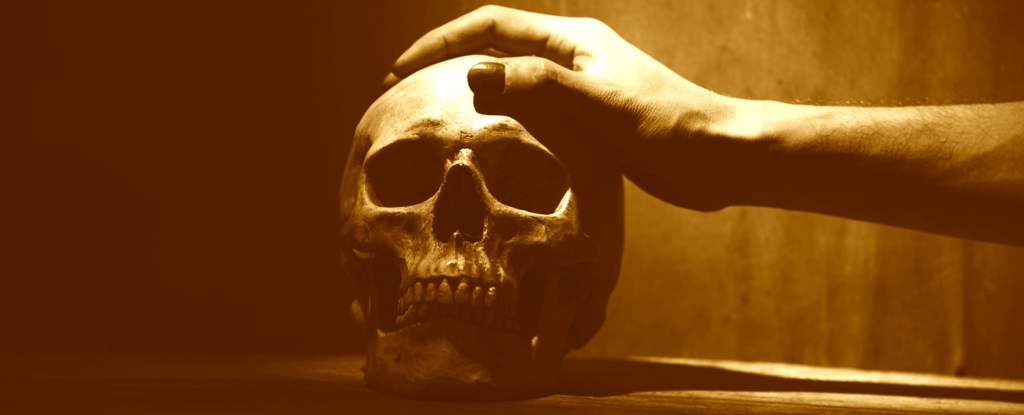 El canibalismo en el pasado de Europa fue más común de lo que se puede dar cuenta: Sciencealert