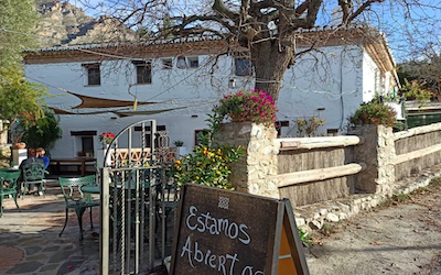 Menú Alquería Del Día – Noticias de la Gaceta Tropical Costa