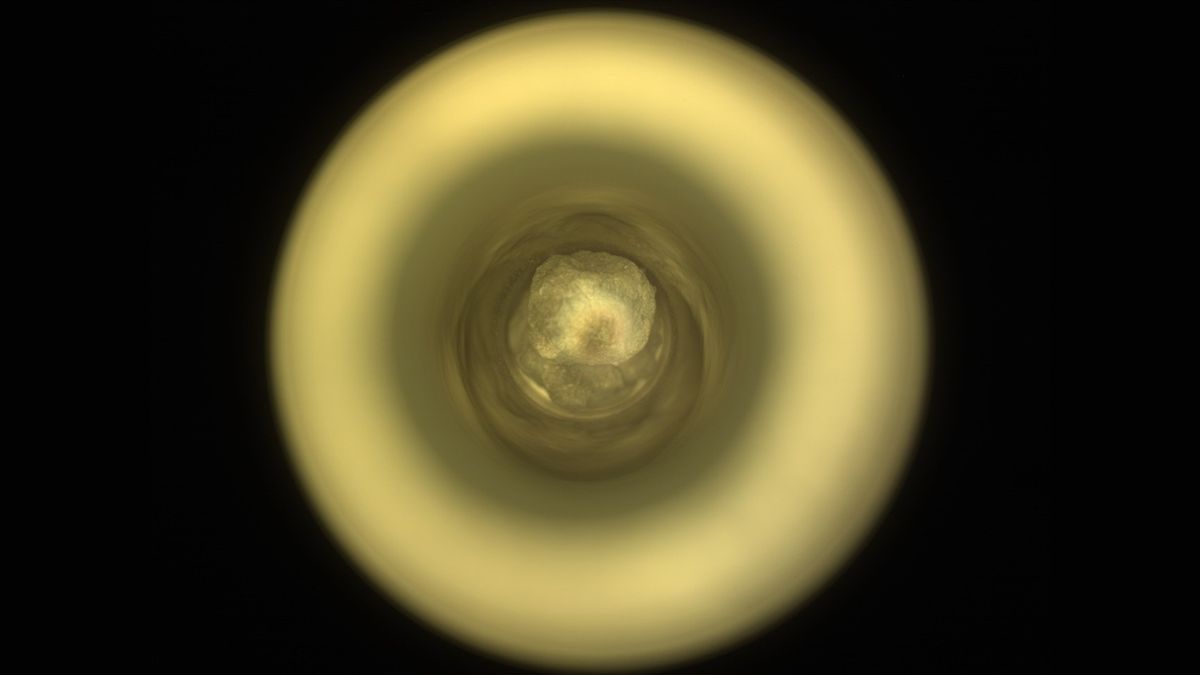 La perseverancia Mars Rover encuentra ‘tesoro único’ en la montaña plateada de Red Planet