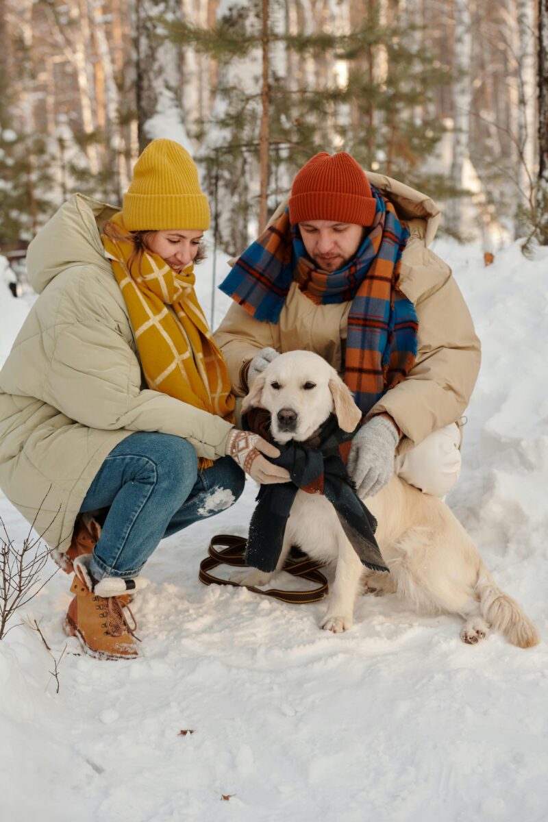 Día del día de la familia para toda la familia (¡incluidos los peludos!)