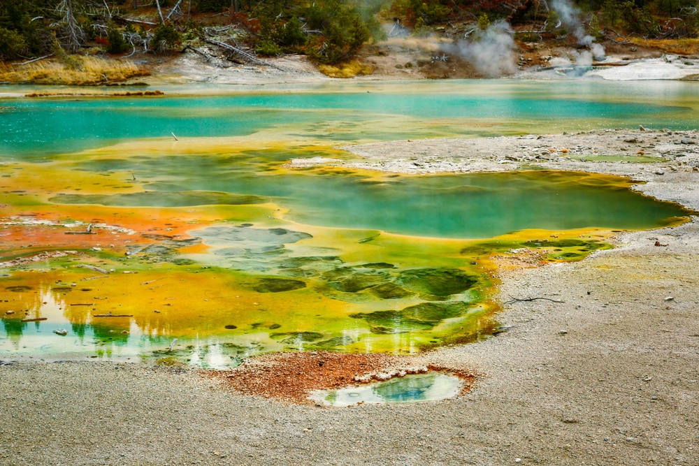 Los microbios en las piscinas térmicas de Yellowstone podrían arrojar luz sobre la vida antigua