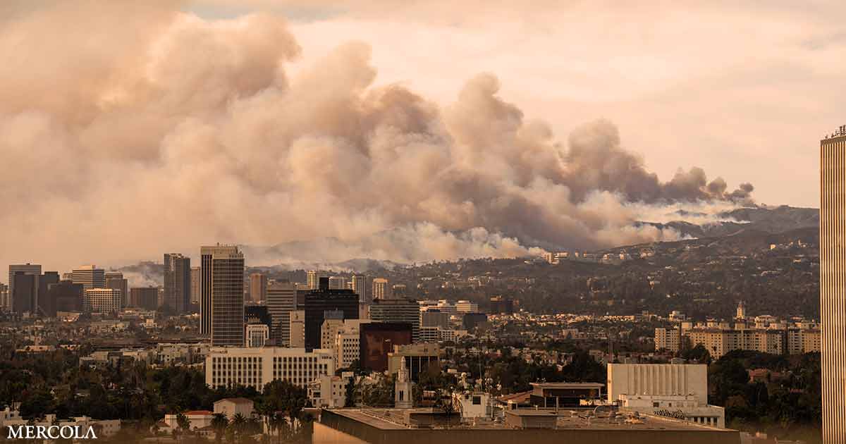 ¿Qué enfermedad de los incendios forestales puede enseñarnos sobre el tratamiento de la EPOC?