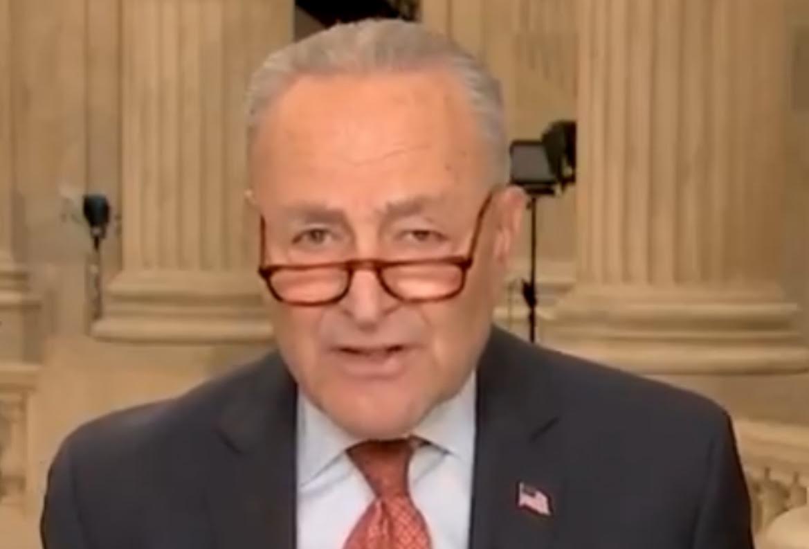 Chuck Schumer llama a los republicanos “bastardos” en vivo en el aire (video) | El experto de la puerta de entrada