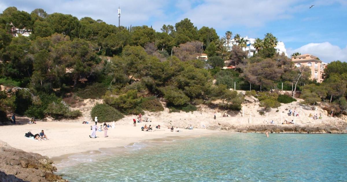 Prohibir los pisos turísticos, el aumento del impuesto turístico en los pasajeros de cruceros y el aumento de los impuestos sobre los autos de alquiler