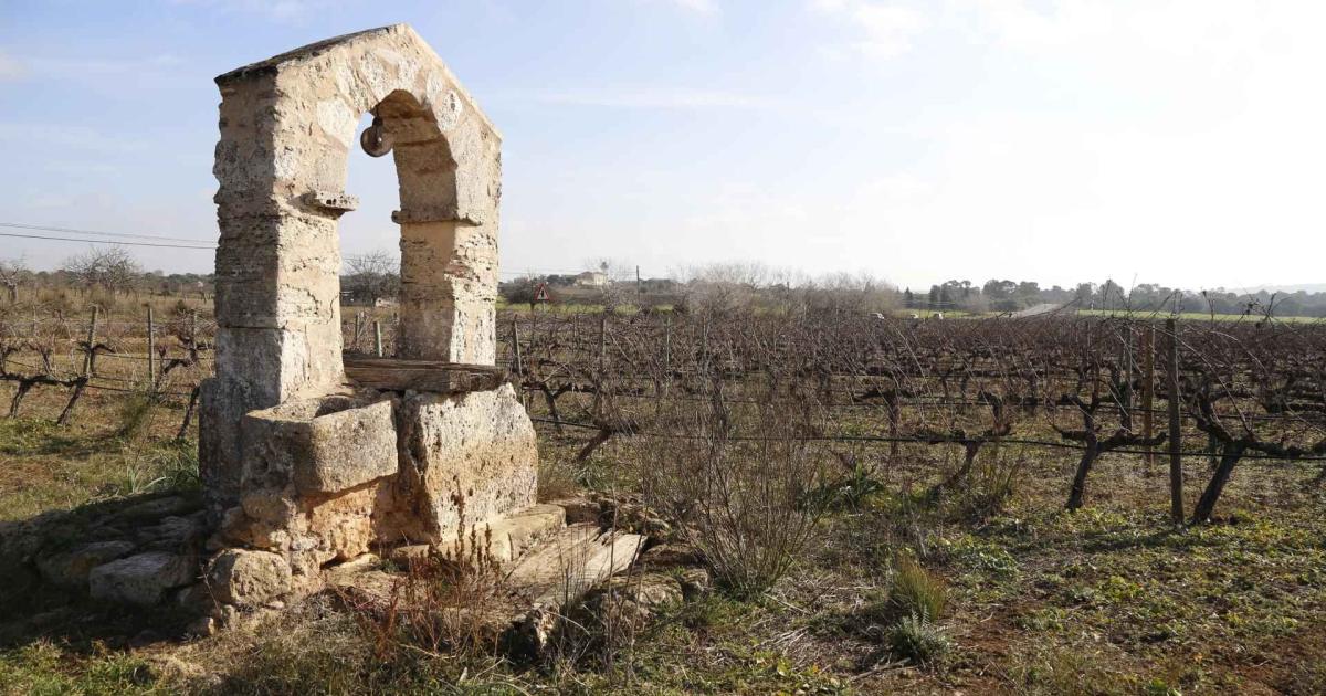 La importancia de los pozos en el suministro de agua de Mallorca