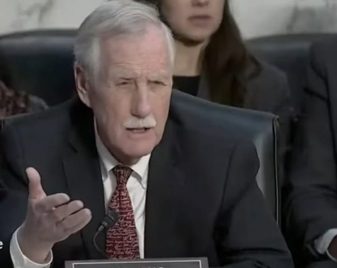 El senador parece reventar a Tulsi Gabbard al Congreso sobre información clasificada en violación de datos