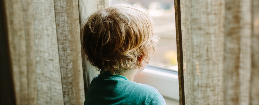 Dieta materna en el embarazo vinculada al riesgo de los niños de los trastornos futuros: Sciencealert