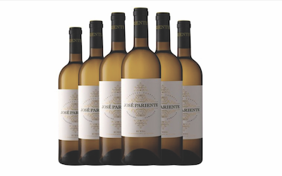 Vino: José Pariente Sauvignon Blanc