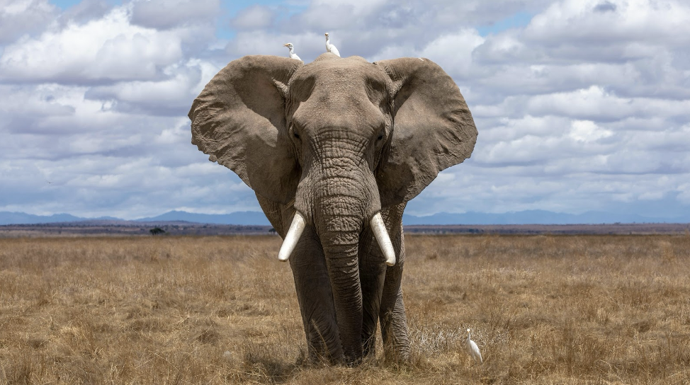 Mastering Hadoop, Parte 1: Instalación, configuración y estrategias modernas de big data