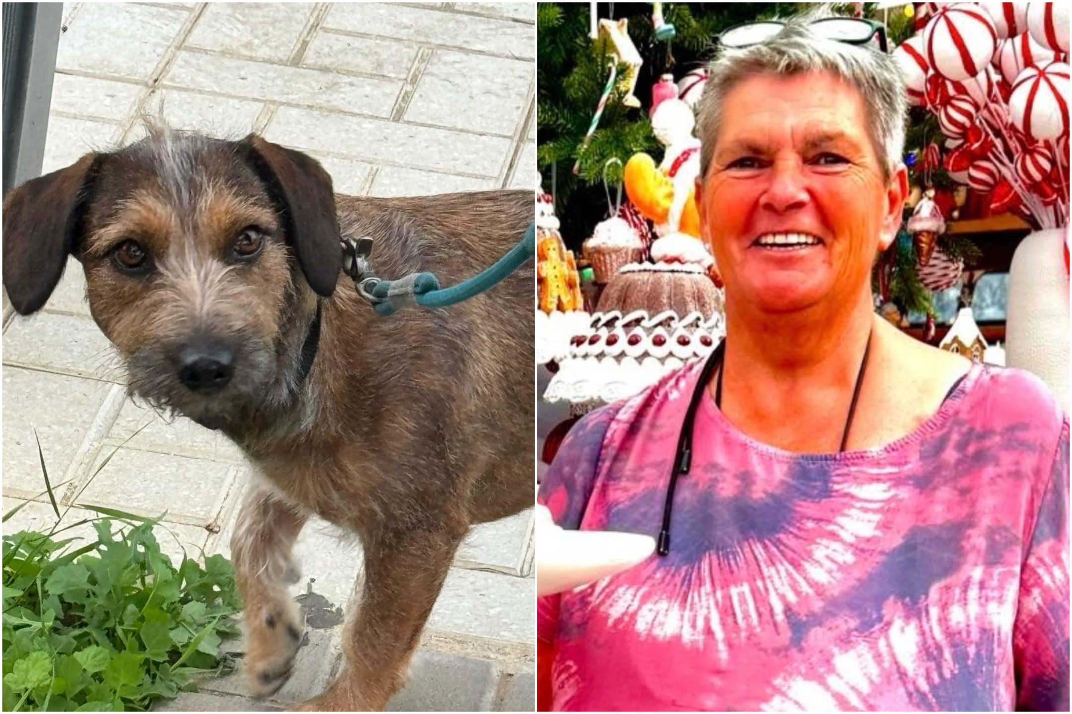 Miedos por el cuidador alemán desaparecido y su perro que desaparecieron de la Costa del Sol de España hace dos días