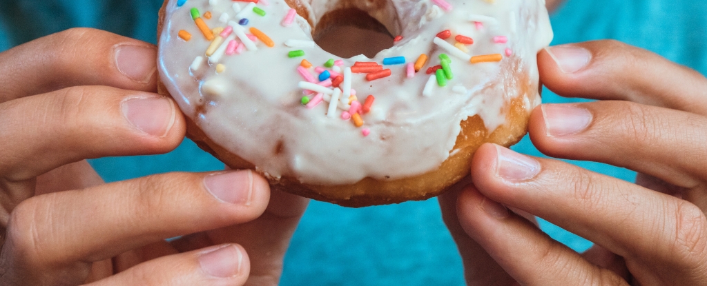 Solo 5 días de comida chatarra pueden desencadenar el control de la obesidad en tu cerebro: Sciencealert