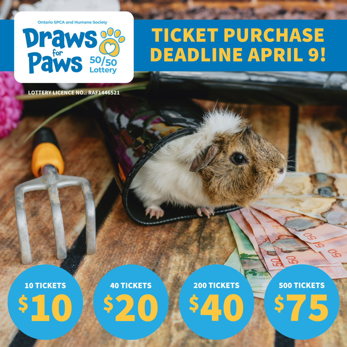 Gane grande para animales necesitados con el SPCA de Ontario y los sorteos de primavera de la Sociedad Humana para las patas 50/50 Lotería