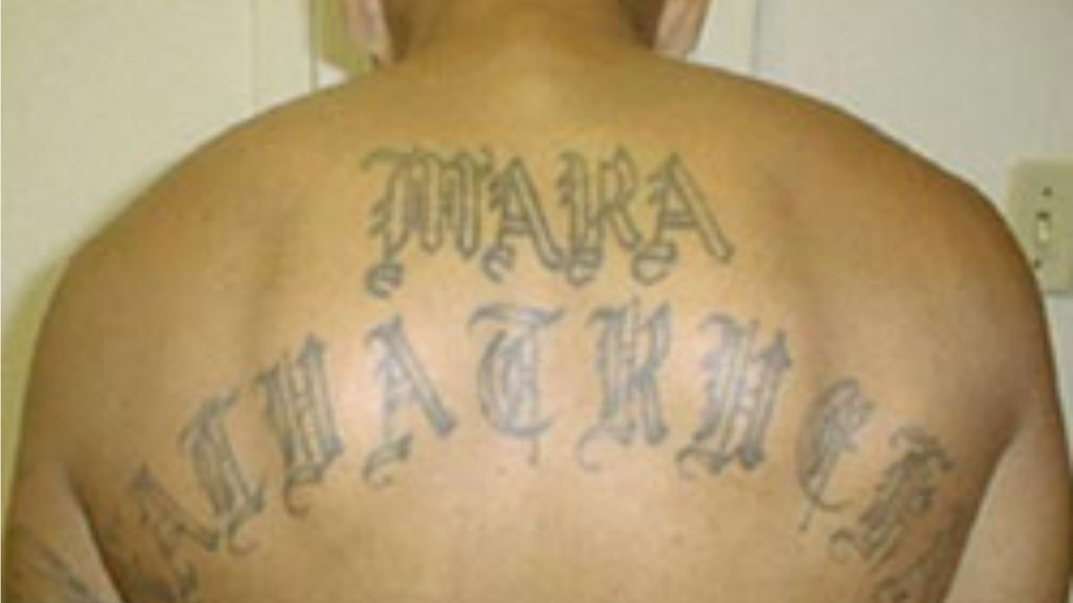 Departamento de Justicia: Líder de MS-13 arrestado en Virginia