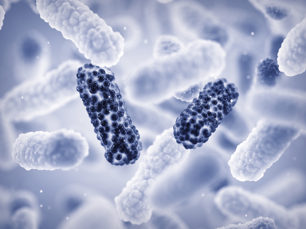 Los microplásticos pueden contribuir a la resistencia a los antibióticos