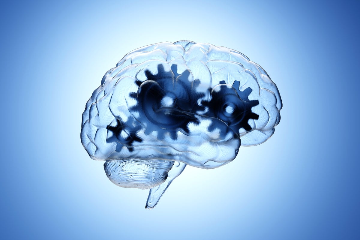 Los neurocientíficos deben establecer una barra alta para evidencia contra el libre albedrío