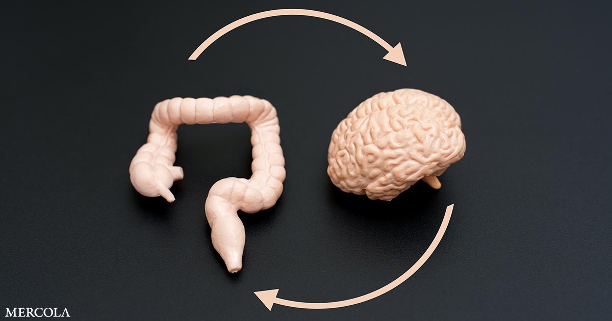 El impacto de la salud intestinal en el bienestar mental