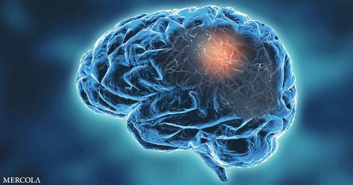 Los probióticos ofrecen una nueva esperanza para Alzheimer y otras enfermedades neurodegenerativas