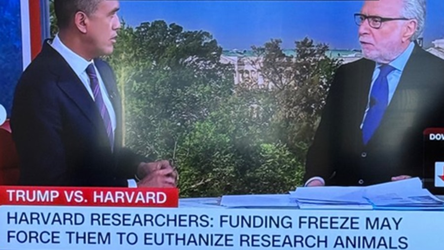 Los investigadores de Harvard se quejan de que la congelación de fondos de Trump los obligará a sacrificar a los animales antes de que puedan torturarlos | El experto de la puerta de entrada