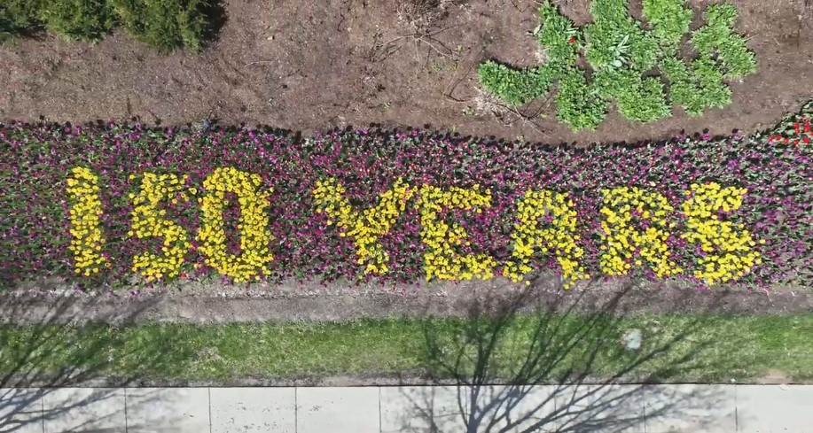 El tiempo de floración de tulipán pico está a la vuelta de la esquina en el zoológico y el jardín botánico de Cincinnati