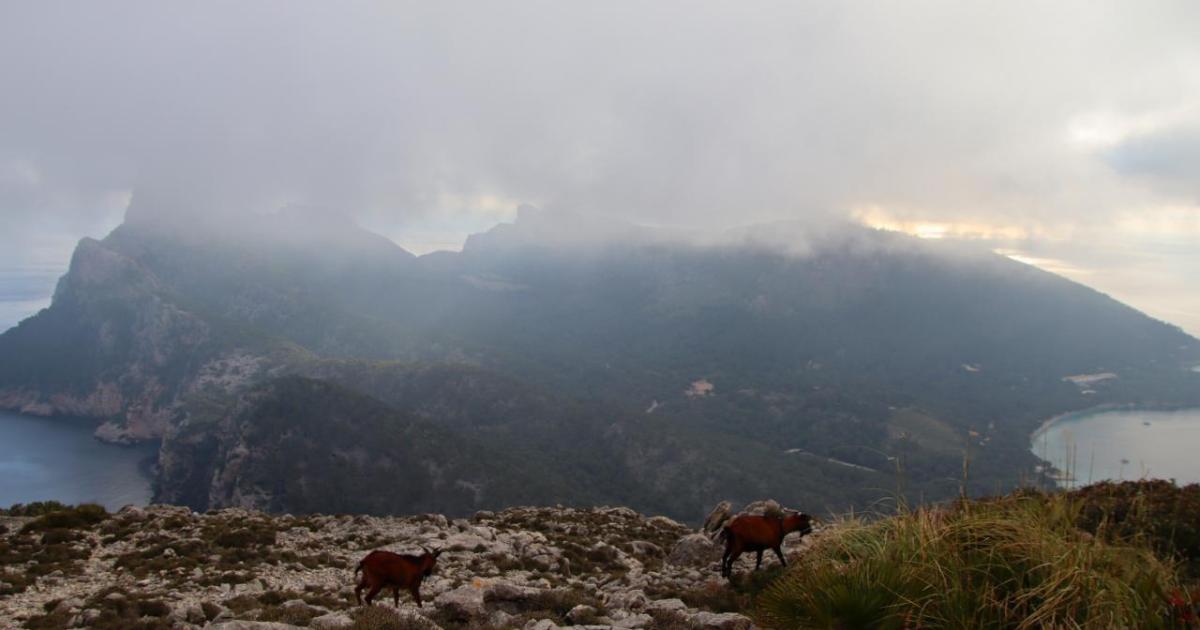 Clima dominical en Mallorca