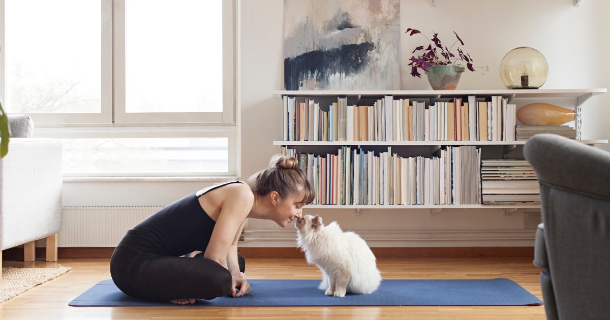 5 formas en que las mascotas pueden mejorar su salud: los médicos y los expertos intervienen