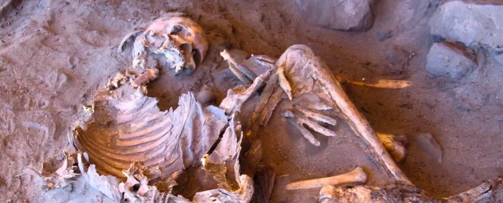 Una vez exuberante Sahara fue el hogar de un grupo sorprendentemente único de humanos: Sciencealert