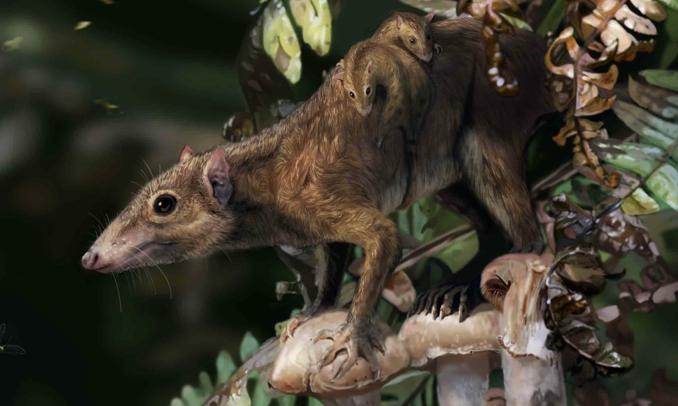 Cuando murieron los Dinos, los mamíferos ya estaban adoptando estilos de vida terrestres