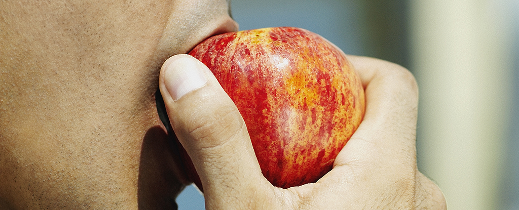 Ozempic reforma los tipos de alimentos que comen las personas. Esto es lo que pasa. : Sciencealert