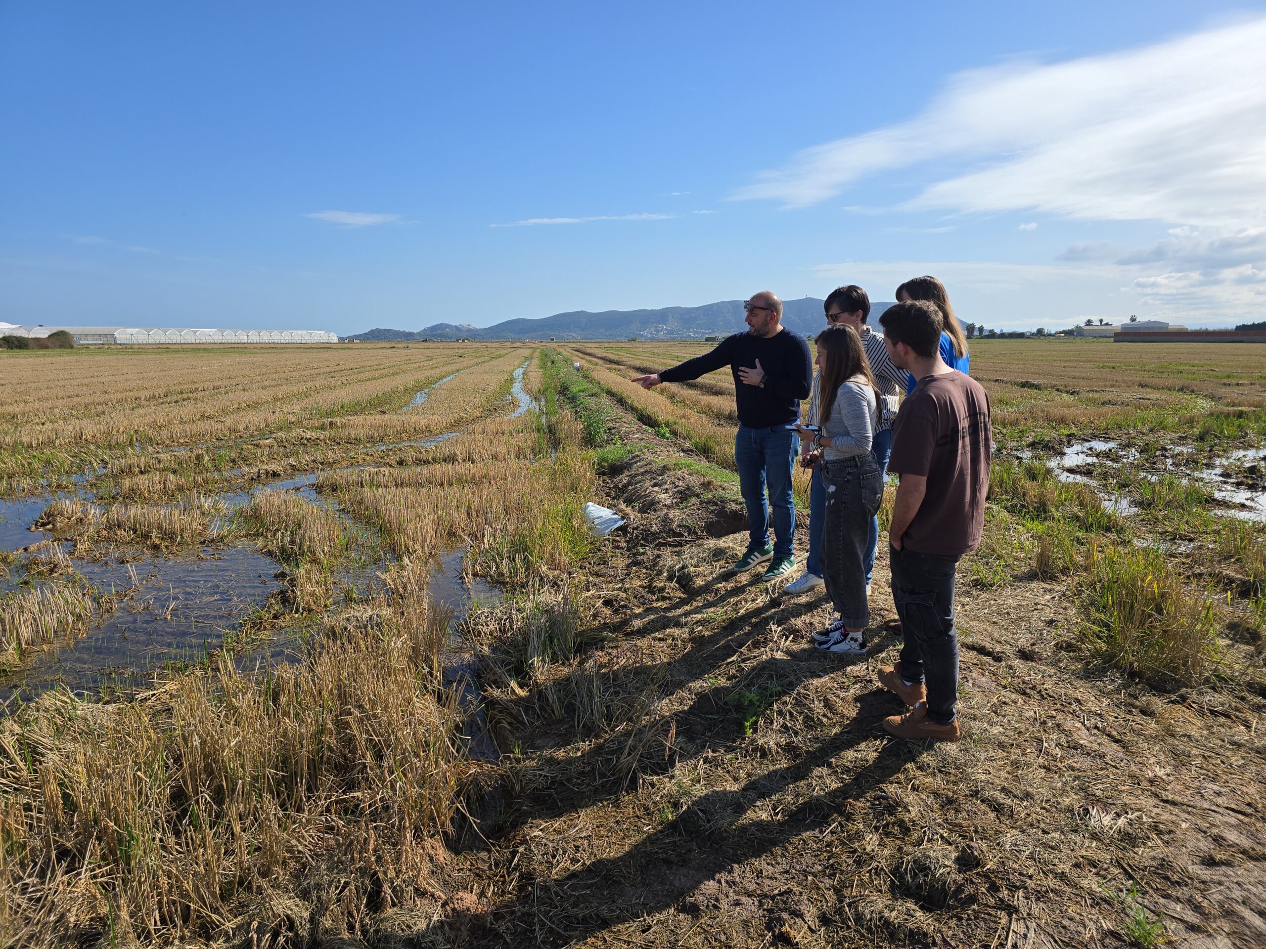 La paja que se construyó – Valencia Internacional