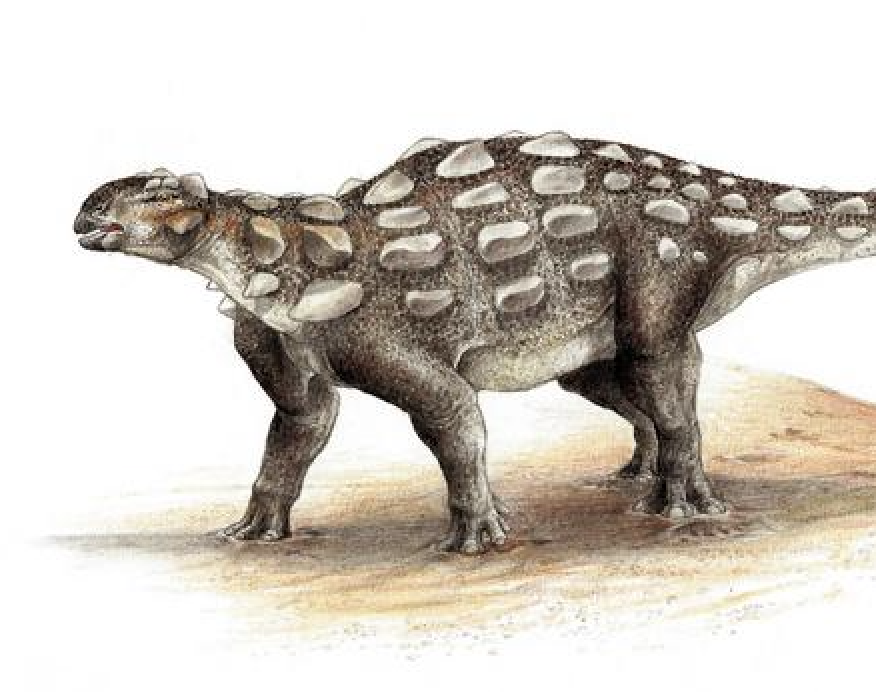 Las huellas de 100 millones de años revelan un nuevo dinosaurio blindado de cola de clubes