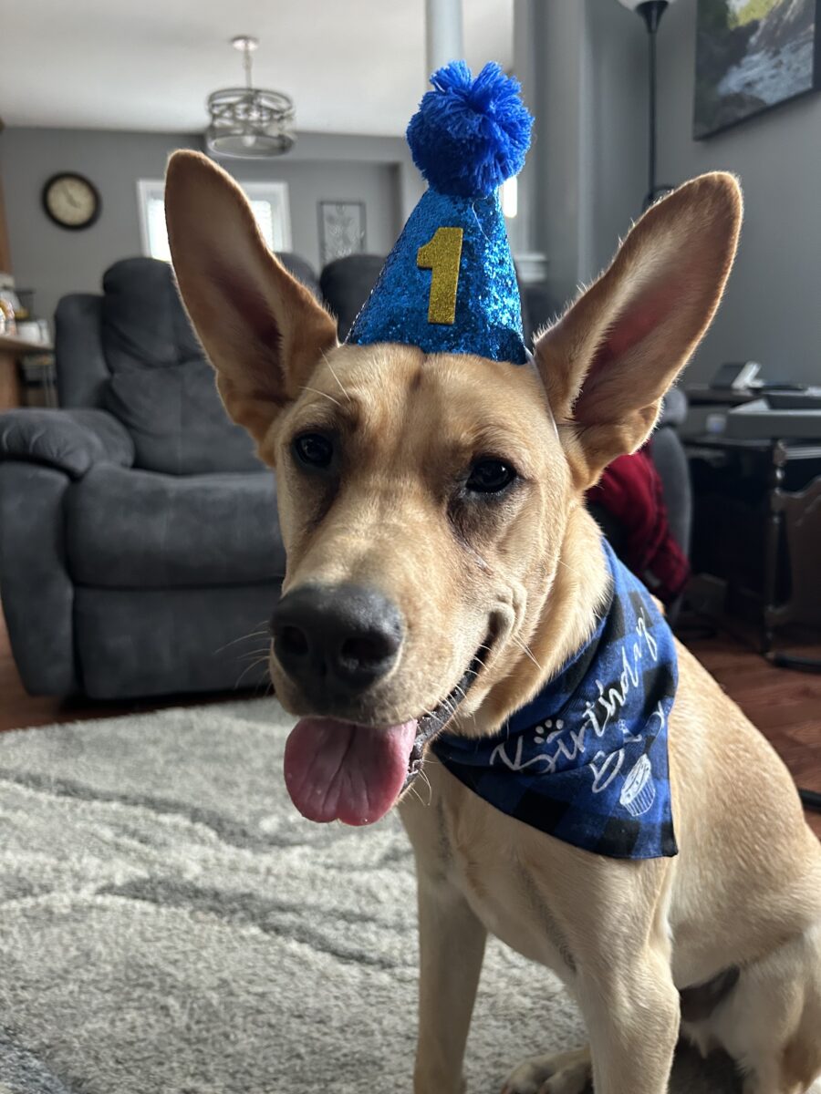 El regreso milagroso de Marty conduce a una nueva oportunidad de vida