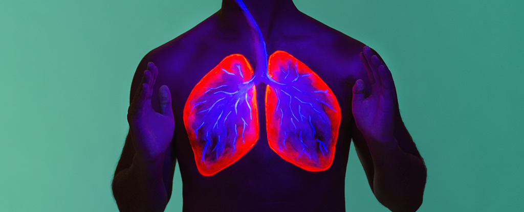 Los científicos descubren un vínculo inesperado entre la dieta y el riesgo de cáncer de pulmón: Sciencealert