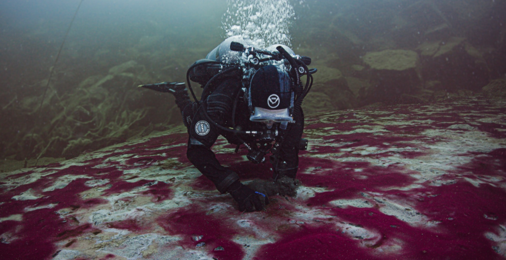 El sumidero de la isla media del lago Huron podría ayudarnos a comprender la evolución de la Tierra