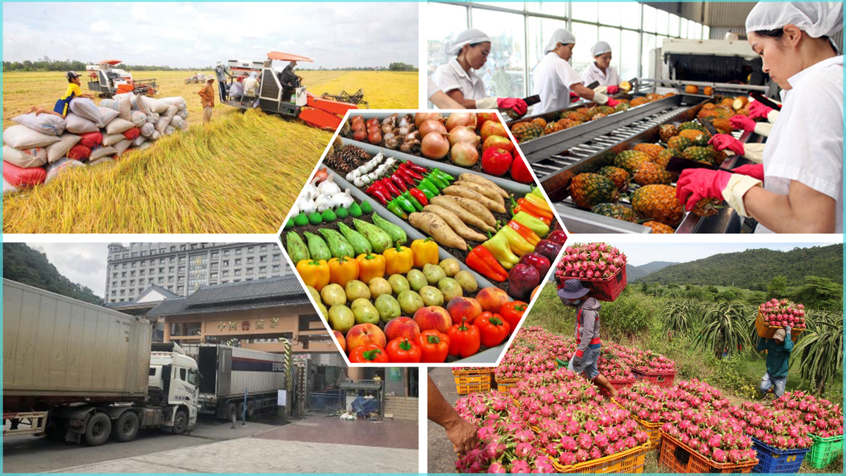 Visita del presidente Xi Jinping a Vietnam: Marcando el 75 aniversario de las relaciones diplomáticas y el impulso del comercio bilateral en agricultura, silvicultura y pesca