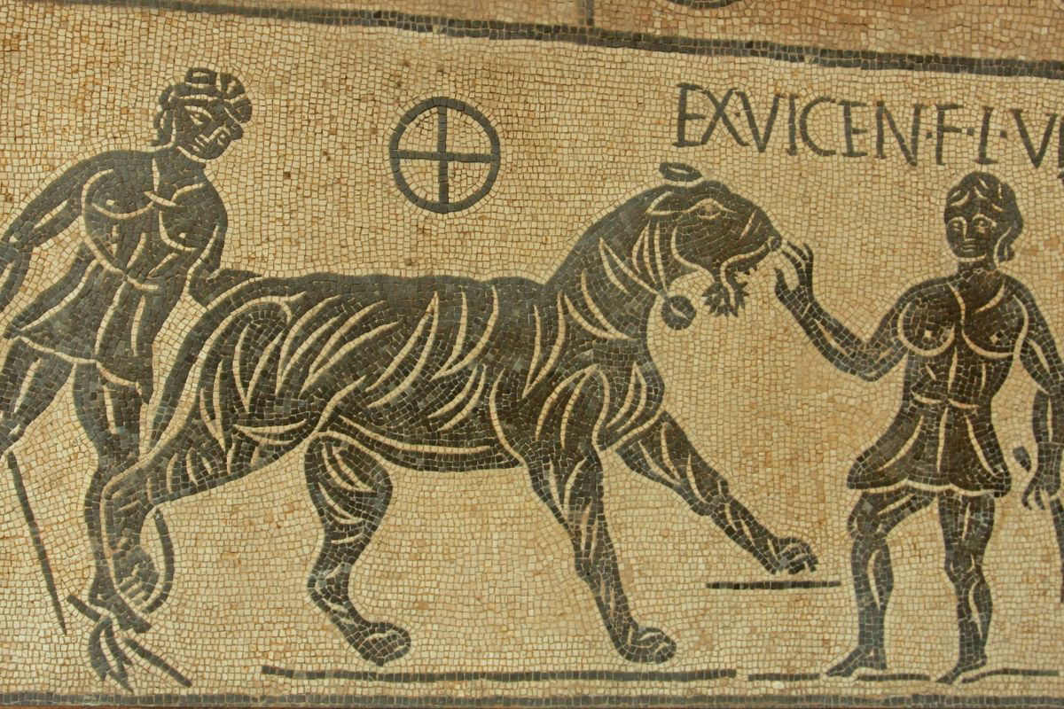 Gladiators luchó contra los carnívoros «Euro Weekly News