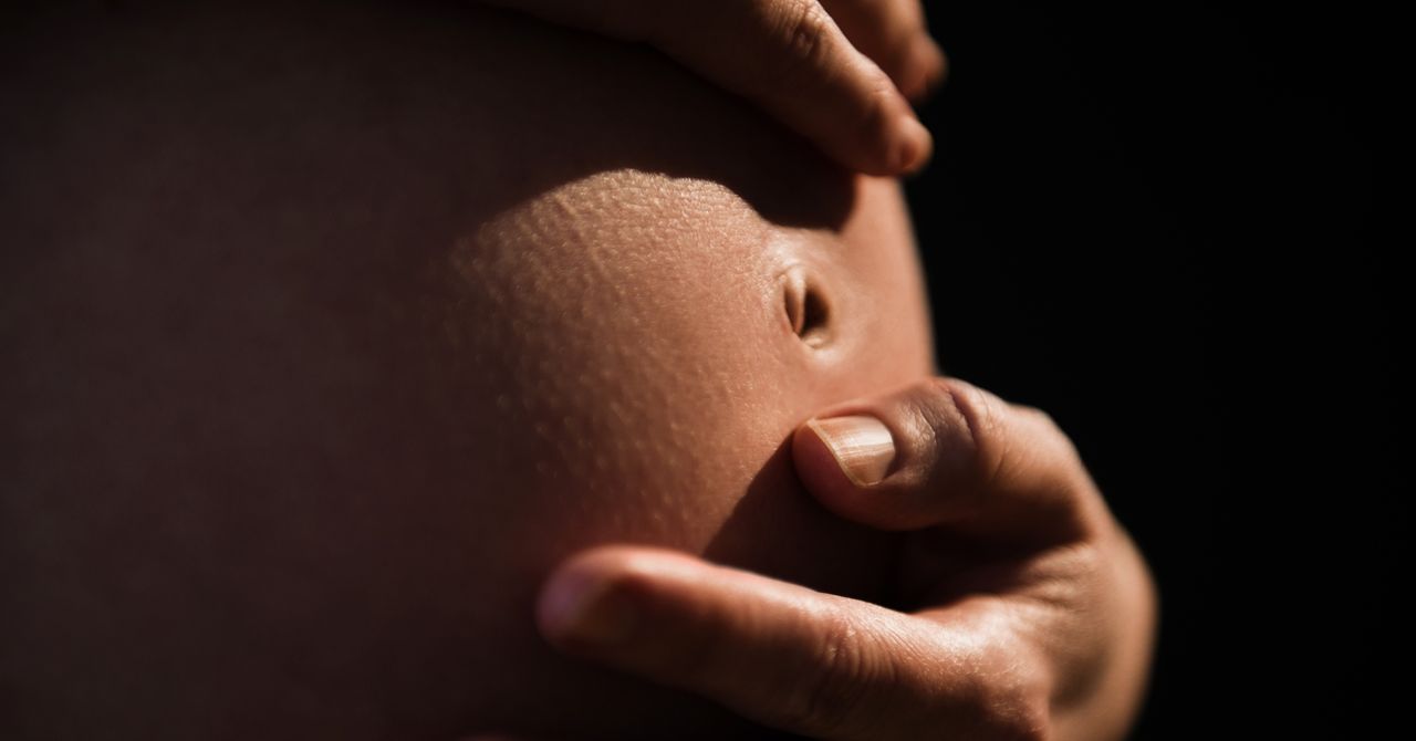 Una alternativa de FIV podría hacer que tener bebés fuera menos onerosos