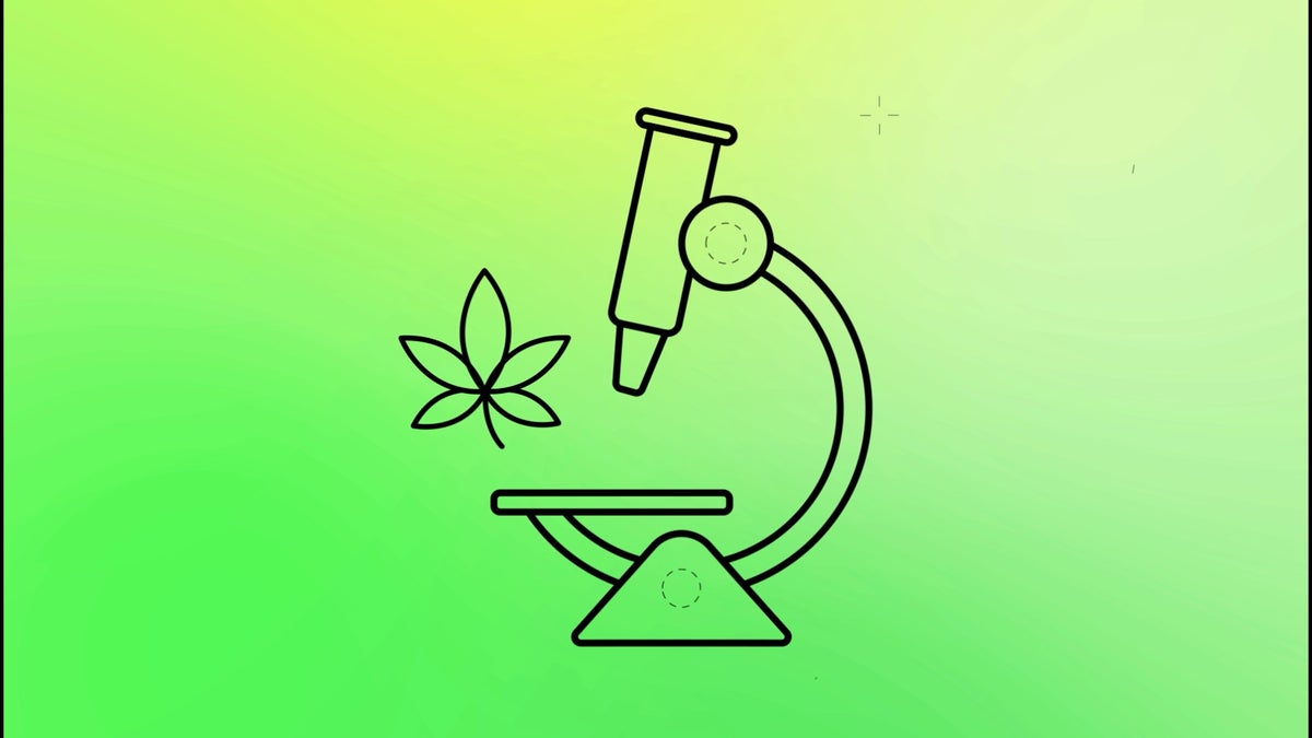 Cómo THC, el complejo psicoactivo en la marihuana, te da alto