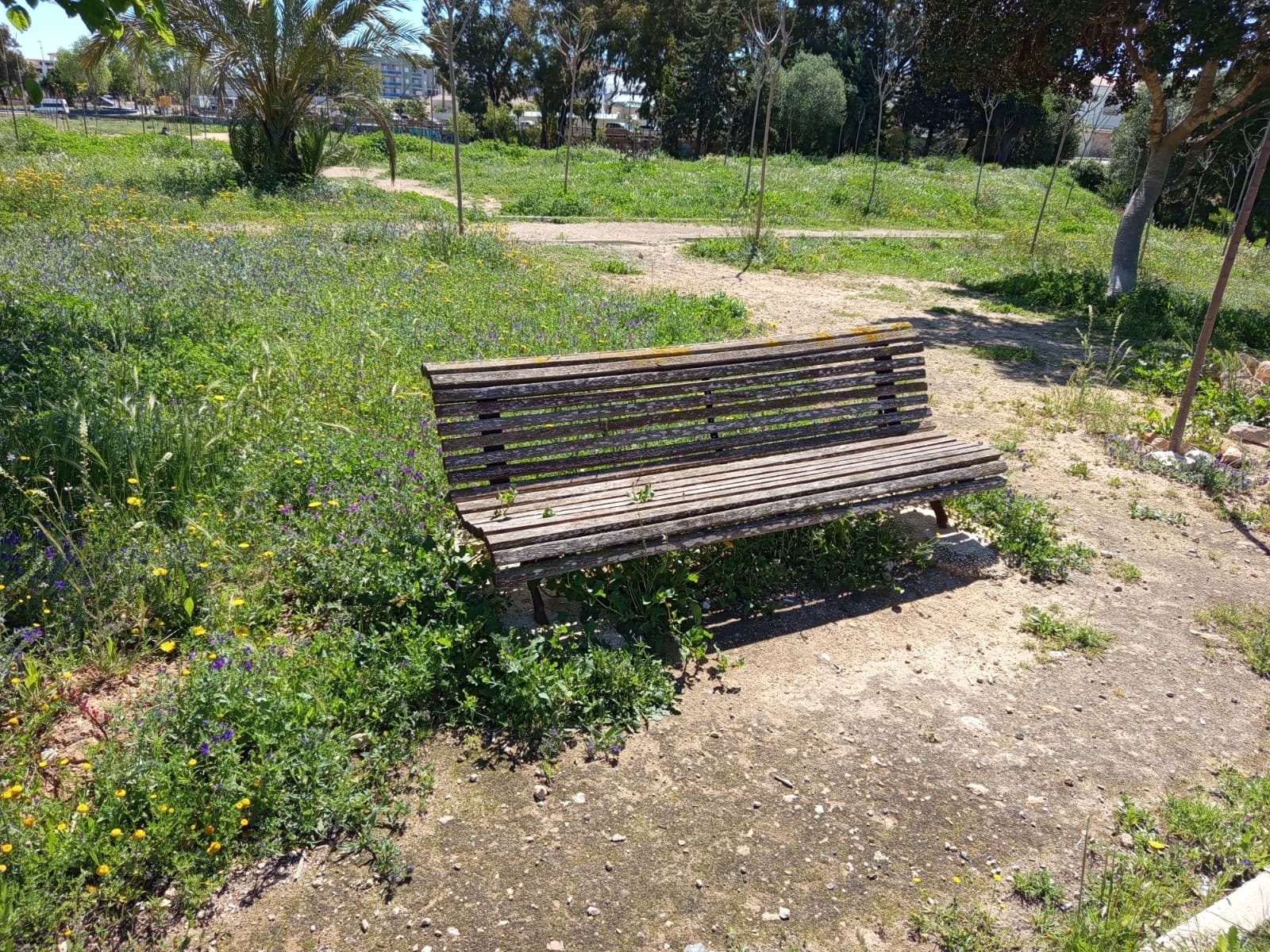 “Perdido en una jungla de malezas: la lenta muerte de La Regia Park”