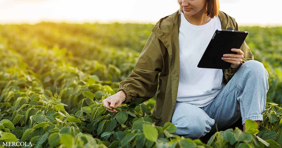 ¿Los neonics son esenciales para todos los cultivos? La investigación dice que no