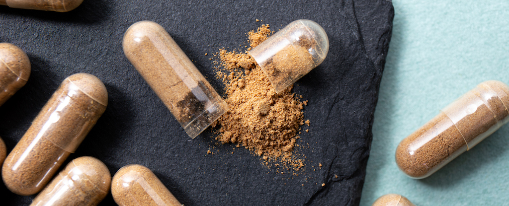 Esta antigua hierba está en tendencia para los beneficios para la salud, pero tenga cuidado con los riesgos: Sciencealert