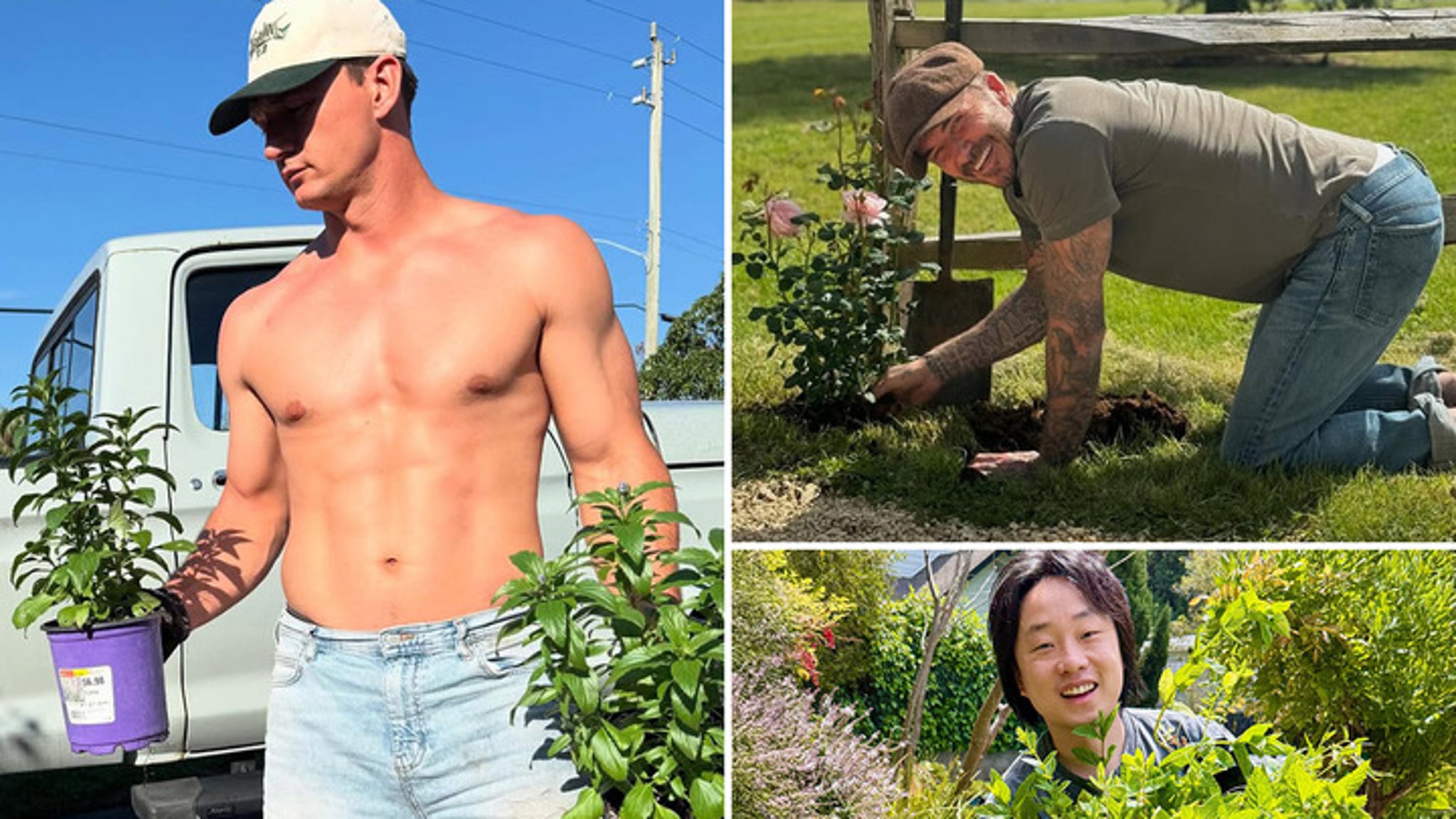 Estrellas de jardinería para el Día de la Tierra … ¡buenas cebolletas solo!