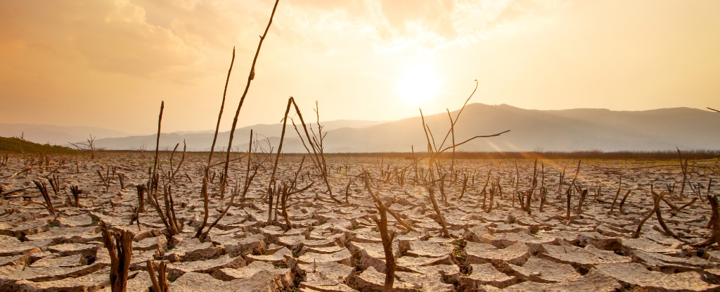 El cambio climático podría limpiar un 40% de descuento en la economía global, el estudio predice: Sciencealert