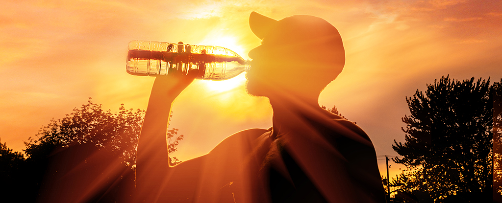 ‘Excepcional’: la racha de calor global continua desafía las predicciones climáticas: Sciencealert