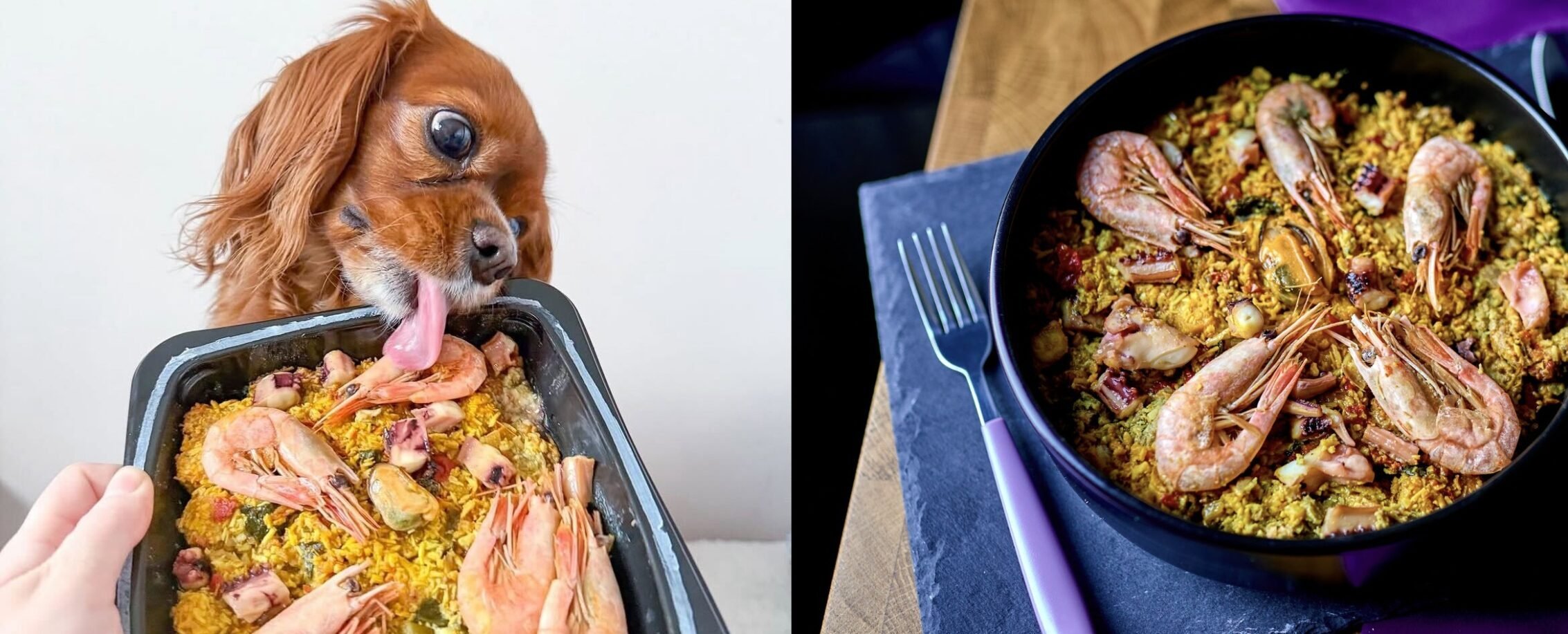 Perfección de la arawla! Los británicos ahora están mimando a sus perros con la mejor paela de calamares gourmet y langostinos de España
