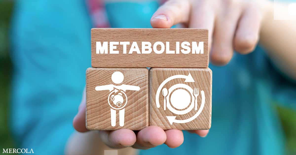 Salud metabólica a través de datos en tiempo real
