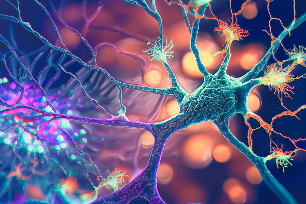 Por qué el cerebro hace un seguimiento de esos dolorosos recuerdos de intoxicación alimentaria